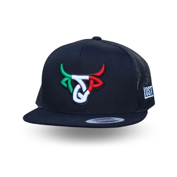 Mexicalf Flat - Gorra con logo tricolor 3D